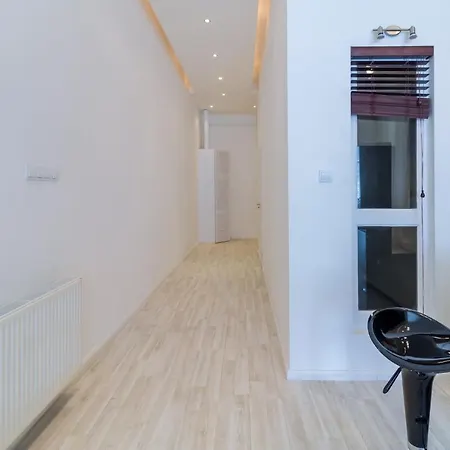 Luxury Danube Apartment. *